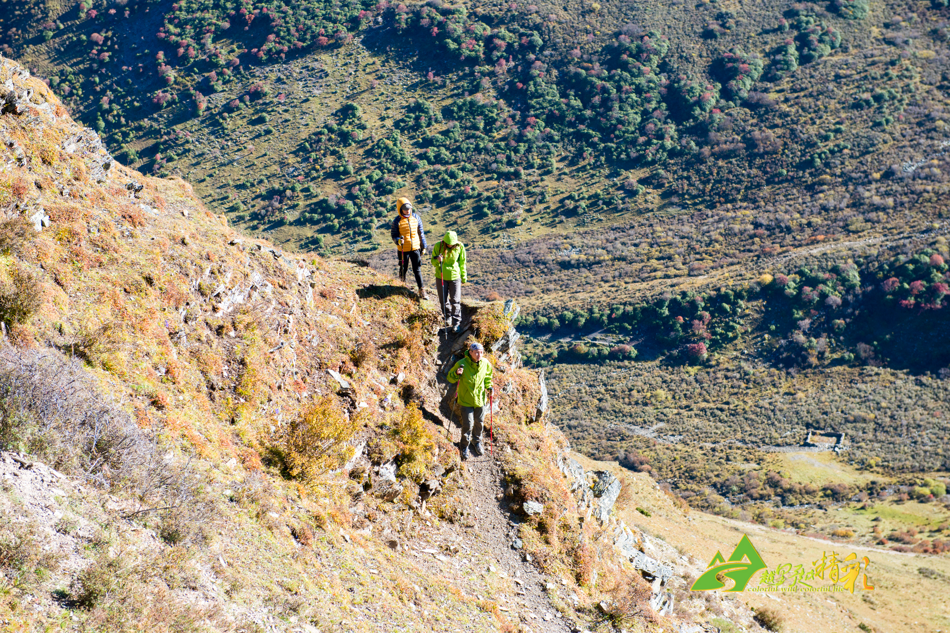 但长期来看 但长期来看