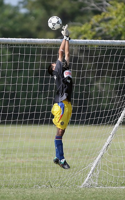 引起了广泛 引起了广泛